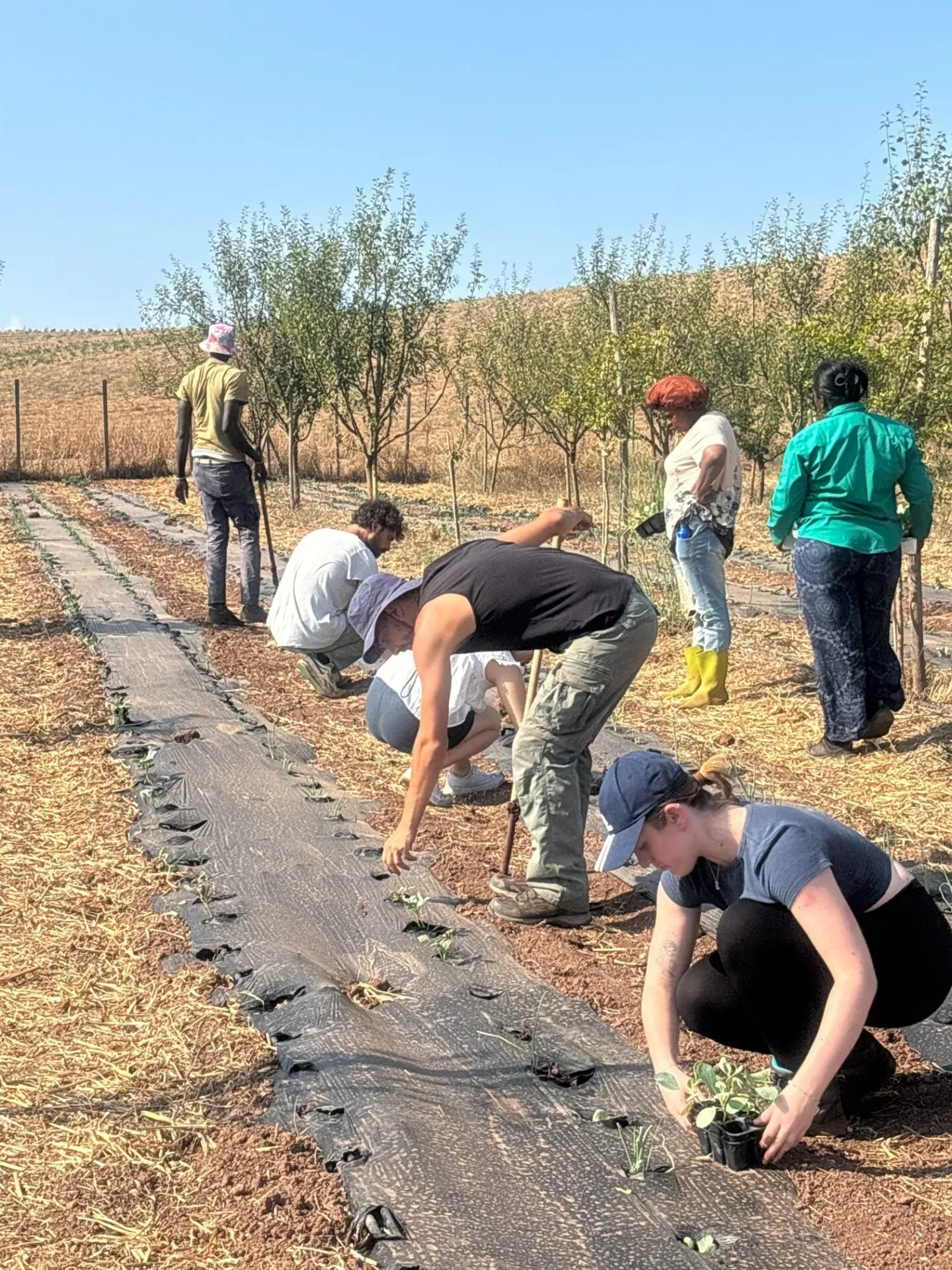 Social Integration in Italy, photo 8