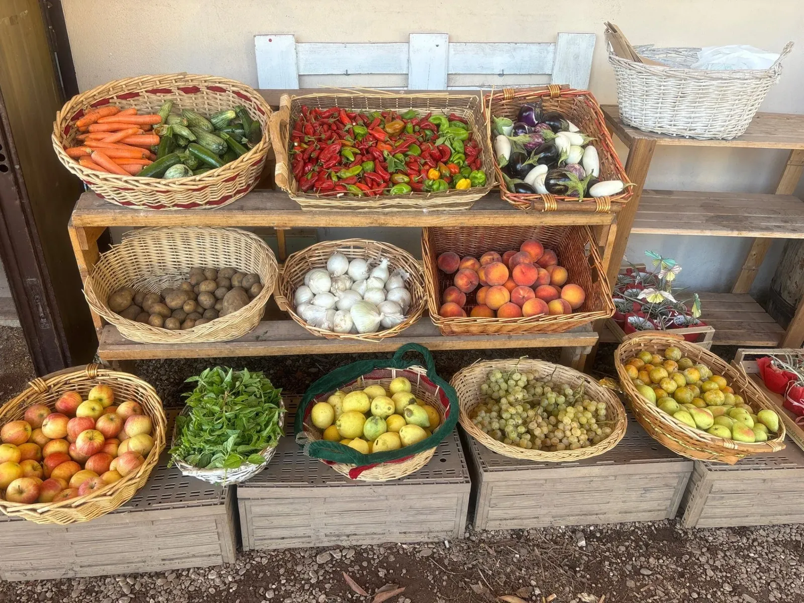 Social Integration in Italy, photo 9