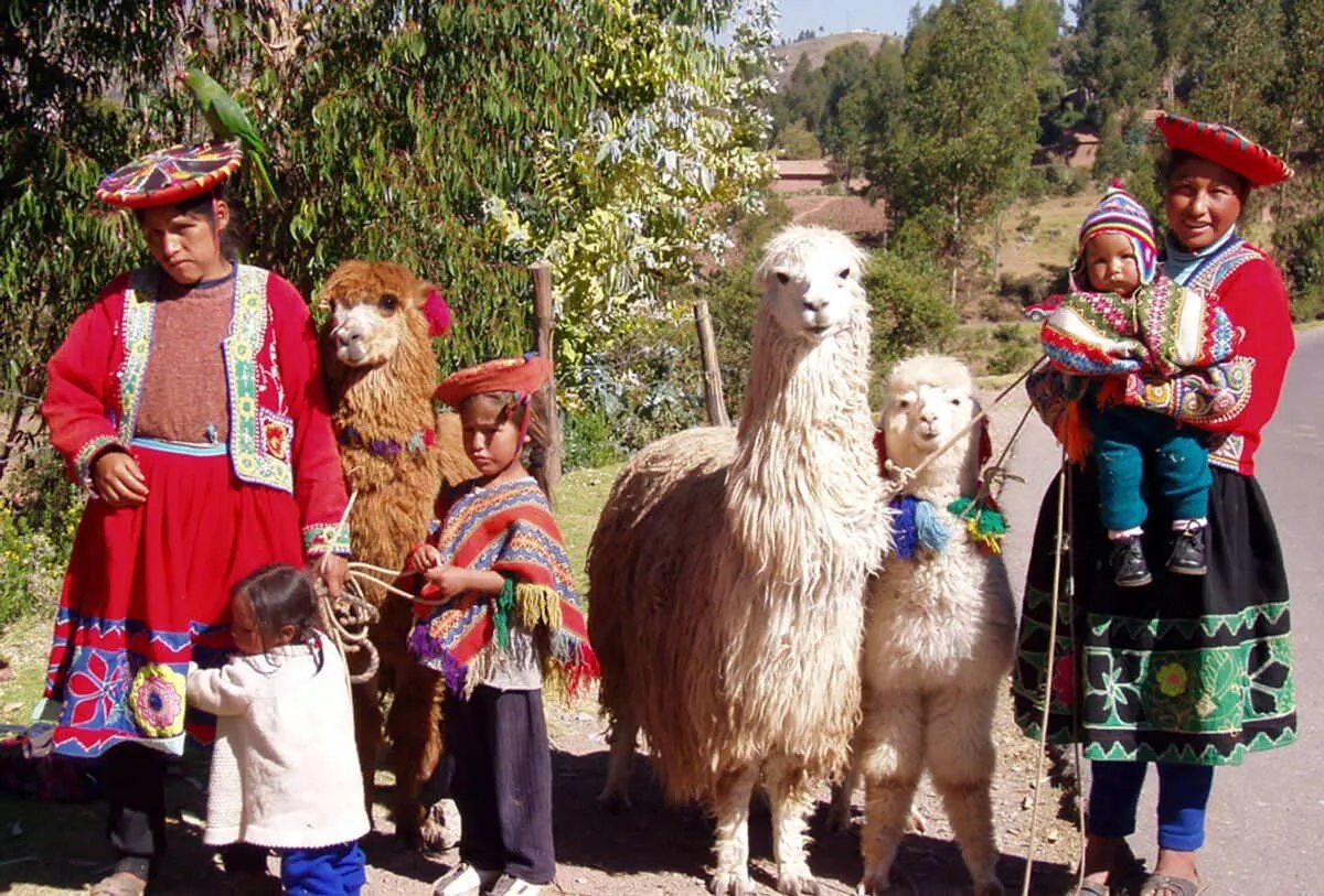 Teaching project in Peru, photo 13