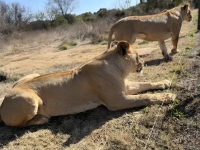 wild animal refuge