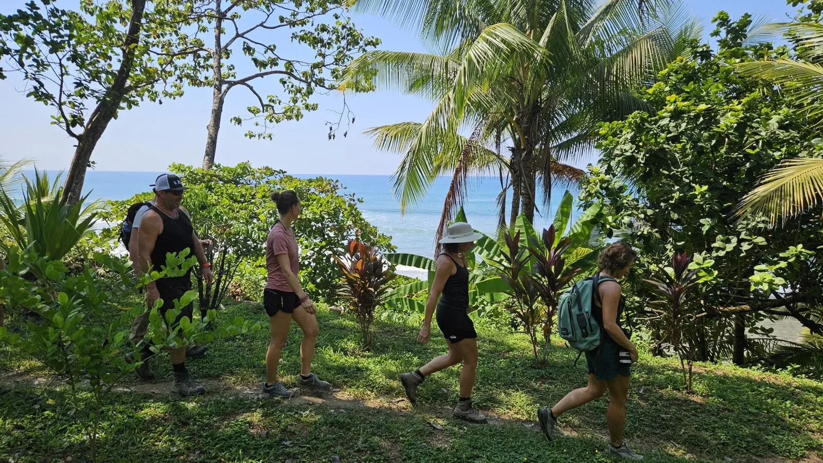 Sea turtles conservation in Costa Rica