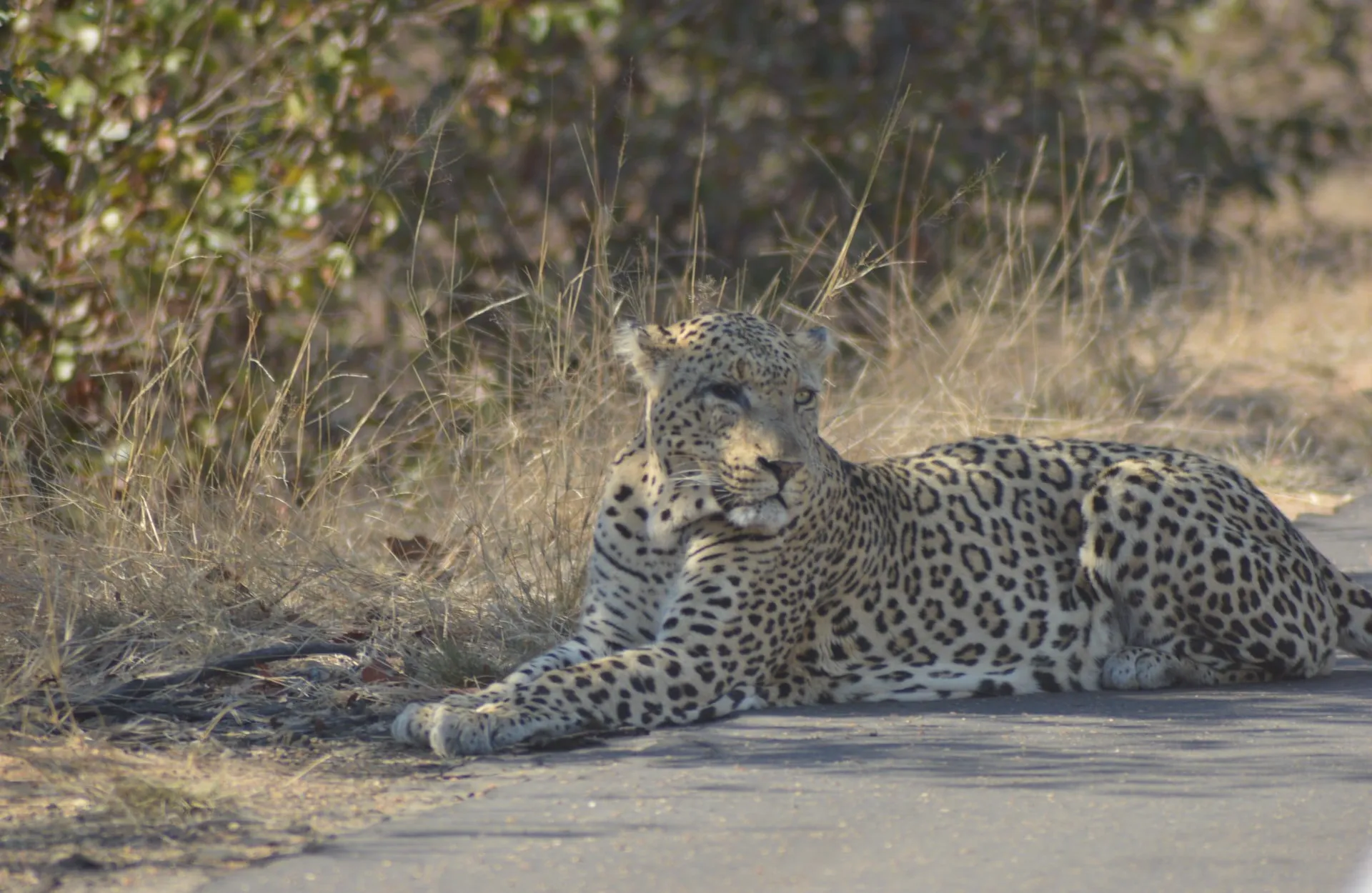 Laëtitia en Afrique du Sud