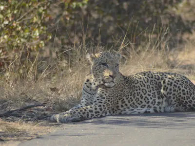Laëtitia en Afrique du Sud