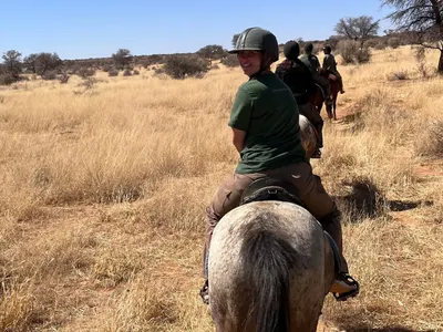 Wesley raconte son engagement dans une réserve animalière en Namibie