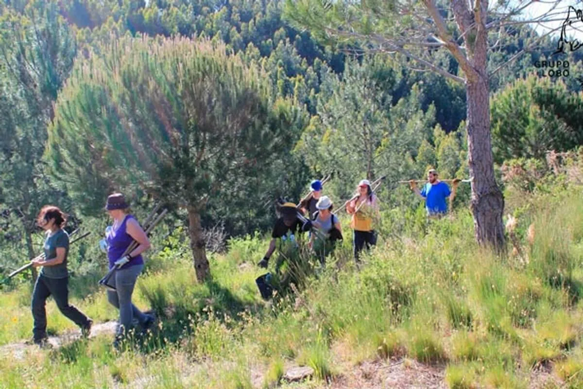 Iberian wolf protection project in Portugal, photo 7