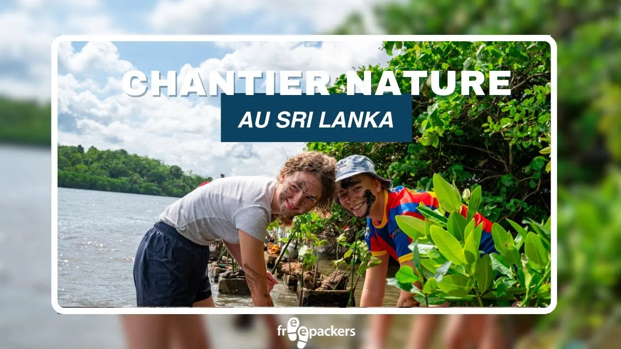 Volontariat environnement Sri Lanka : présentation du chantier nature