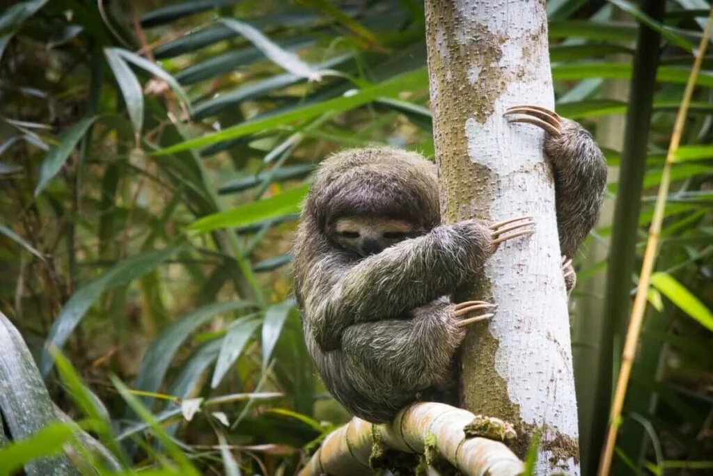 costa rica tourisme durable