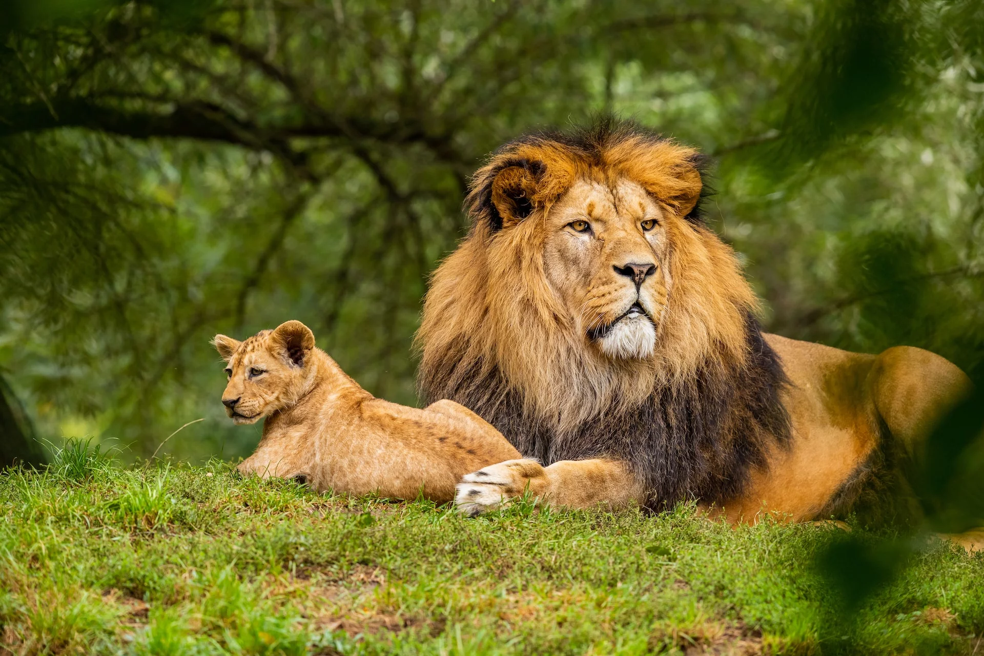 tourisme durable
