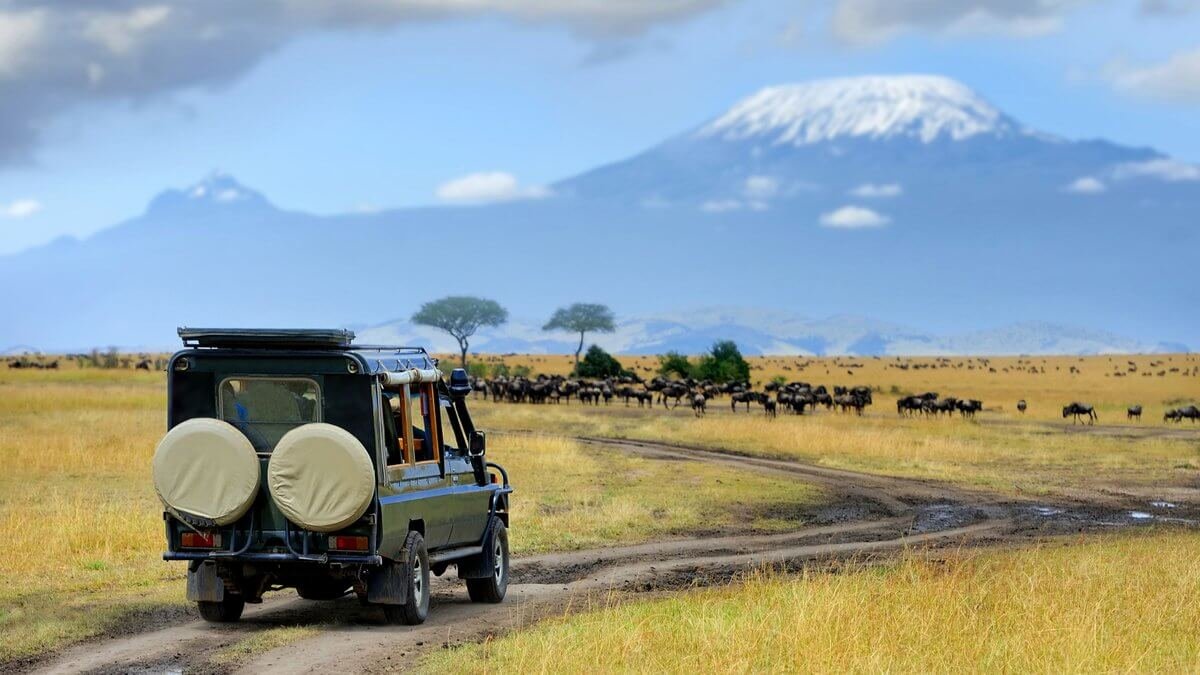 Sustainable wildlife tourism project in Kenya