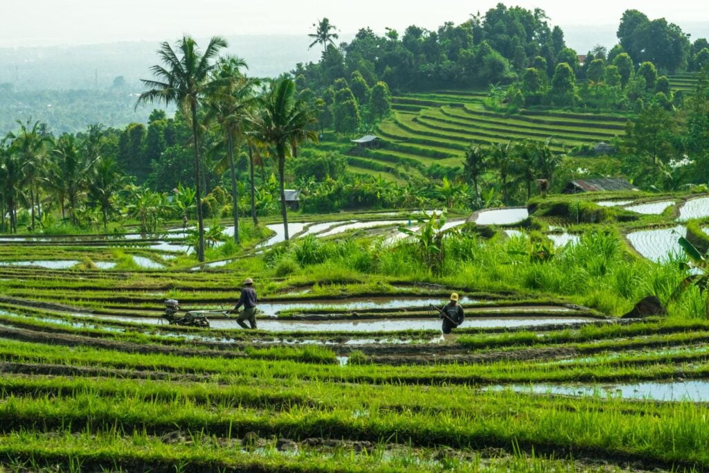 mission humanitaire bali