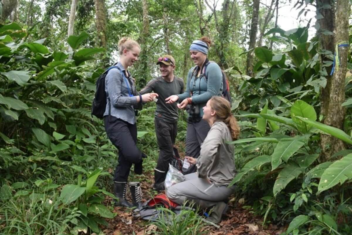 Ecotourism trip: rainforest conservation in Costa Rica