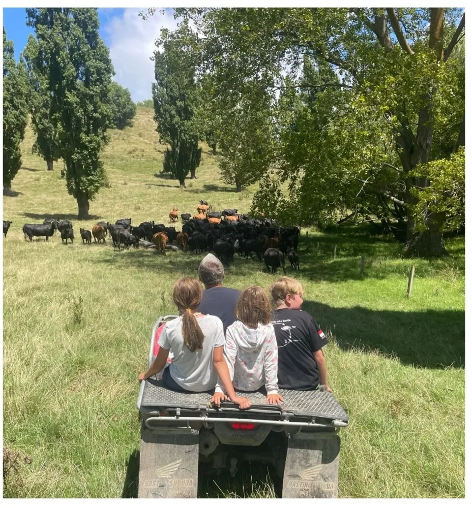 Juliette, François et leurs enfants se sont lancés dans une immersion totale dans une ferme en Nouvelle-Zélande