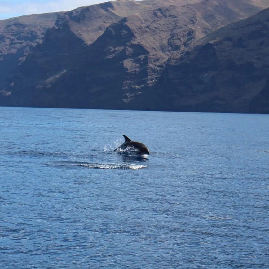 tenerife