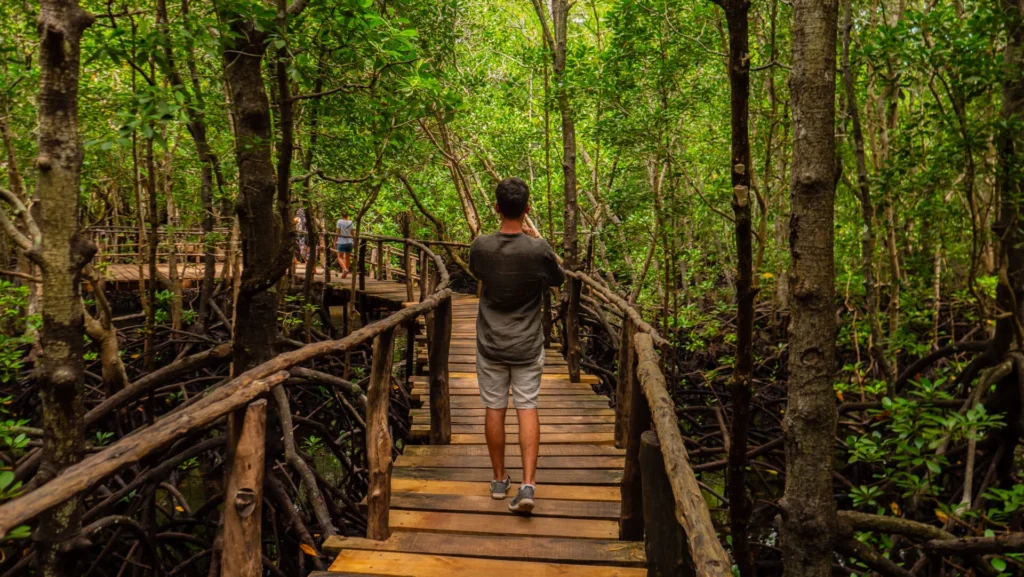 voyage eco responsable