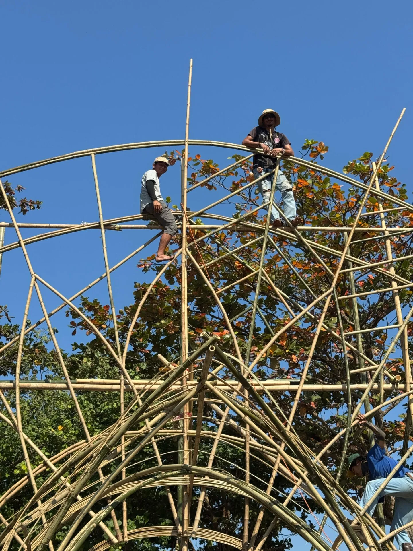 16bc311b-9020-4faa-96b0-926409a60d9e