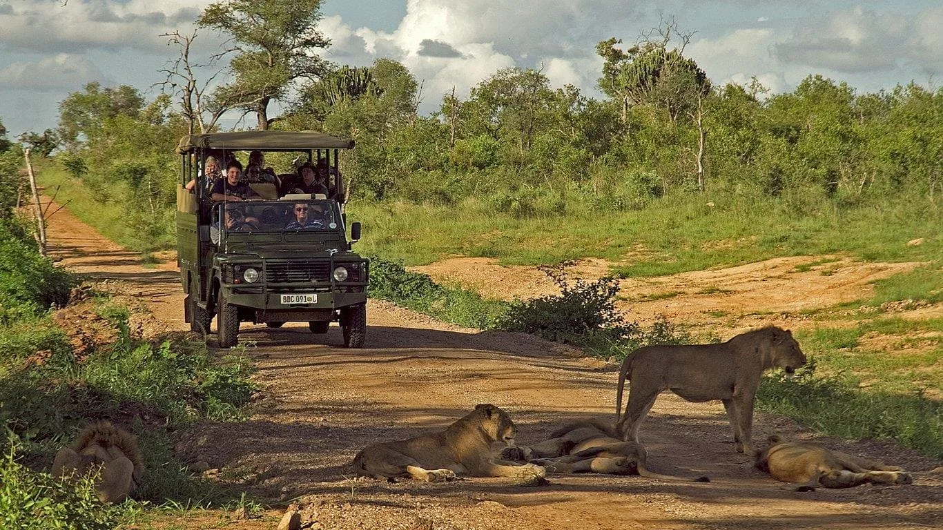 kruger-south-africa10